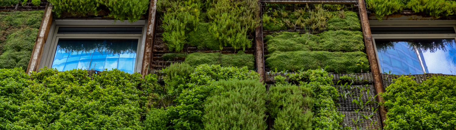 Co2,Reduction:,Detail,Of,Vertical,Garden,On,The,Wall,Of